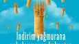  Konsept İnstagram Tasarımları