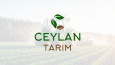 Logo tasarımı