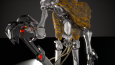 Western Robot