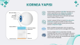 Kornea (Göz Sağlığı) İnfografik Sunum