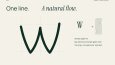 VUPPO, WorldHair & WorldDent — Logo Sistemleri