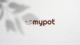 Logo Designs