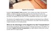 Sapphire Fue Hair Transplantation