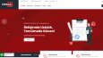 Profesyonel Web Site Tasarımı