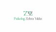 Psikolog Zehra YILDIZ