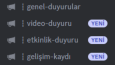 Dualizors Team - Topluluk Sunucusu