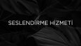 Seslendirme Hizmeti