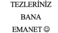 tez düzenleme redaksiyon işleri bende...
