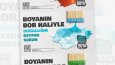Kaufmann – Creative Advertising & Social Media Design