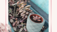 Mini Vase - Instagram Post