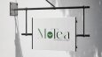 Motea Çay Firması Logo Tasarımı