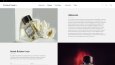 Lumina Cordea - WordPress