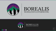 Borealis Logo Tasarımı