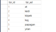 SQL VERİTABANI
