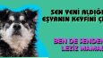 Dijital reklam ile daha çok insana ulaşın