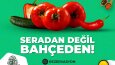 Farklı Alanlarda Sosyal Medya Tasarımları