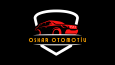 OTOMOTİV