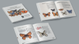 Katalog & Dergi & Flyer