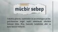 Hasgül Hukuk & Danışmanlık - Sosyal Medya Tasarımları