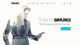 WordPress Tema Geliştirme
