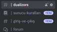 Dualizors Team - Topluluk Sunucusu