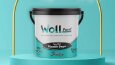 Woll Paint Boya Kovaları Ambalaj tasarımı 