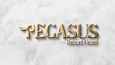 Logo Videos