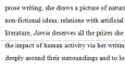 Essay/Makale