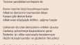Şarkı çevirisi