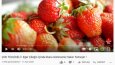 Youtube kanalına özel alt yazı çevirisi 