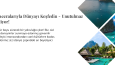 İlgi Çekici ve Etkileyici Web Sitesi Banner Tasarımları