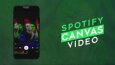 SPOTIFY CANVAS