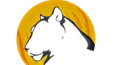 Drayz logo tasarım 