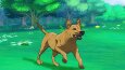 Kedinizin/Köpeğinizin resmini yapıyorum