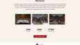 Üniversite Web Sitesi