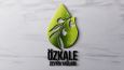 Logo Tasarımı 