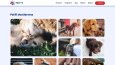 Pati TV | WordPress ile Televizyon Kanalı Sitesi