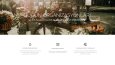 Web Site Tasarımları