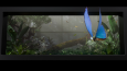 Blender ile 3d animasyon