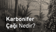 Seslendirme Çalışmalarım