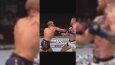 MMA Fighter Edit