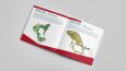 IMPO İmar Katalog Tasarımı