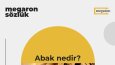 Sosyal Medya Tasarımları
