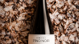 PINO NOIR Şarap 