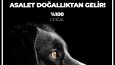 Sosyal Medya Görselleri