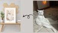 Fotoğrafınızı el çizimi pet portresine dönüştürüyorum