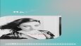 OnAir Music.Co İçin Hazırladığım İnstagram Animasyonları