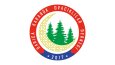 Profesyonel Logo Tasarımı