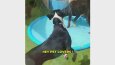 Köpekler İçin Sulu Oyun Matı Video Reklamları