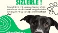 Petteach - Sosyal Medya Gönderi Tasarımları